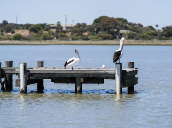 Lil Blue Surf Shack Family And Pet Friendly Villa Goolwa South Exterior photo